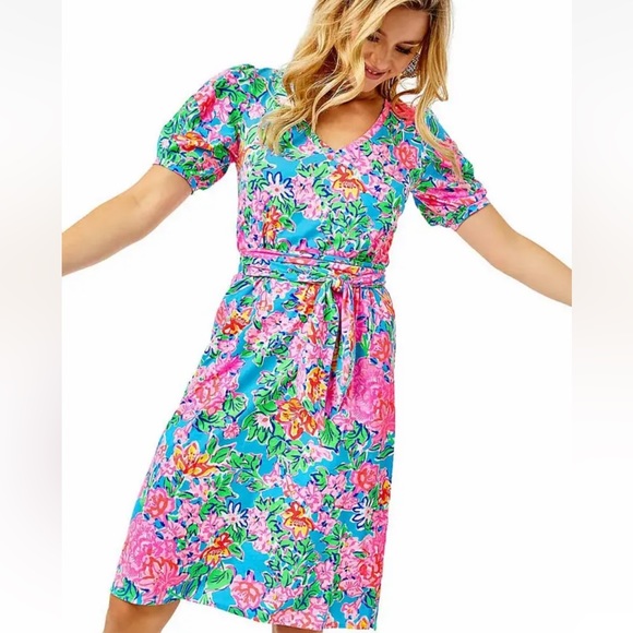 🆕RARE LILLY PULITZER PUFF SLEEVE DRESS WOMENS SIZE MEDIUM (6-7) MULTICOLORED